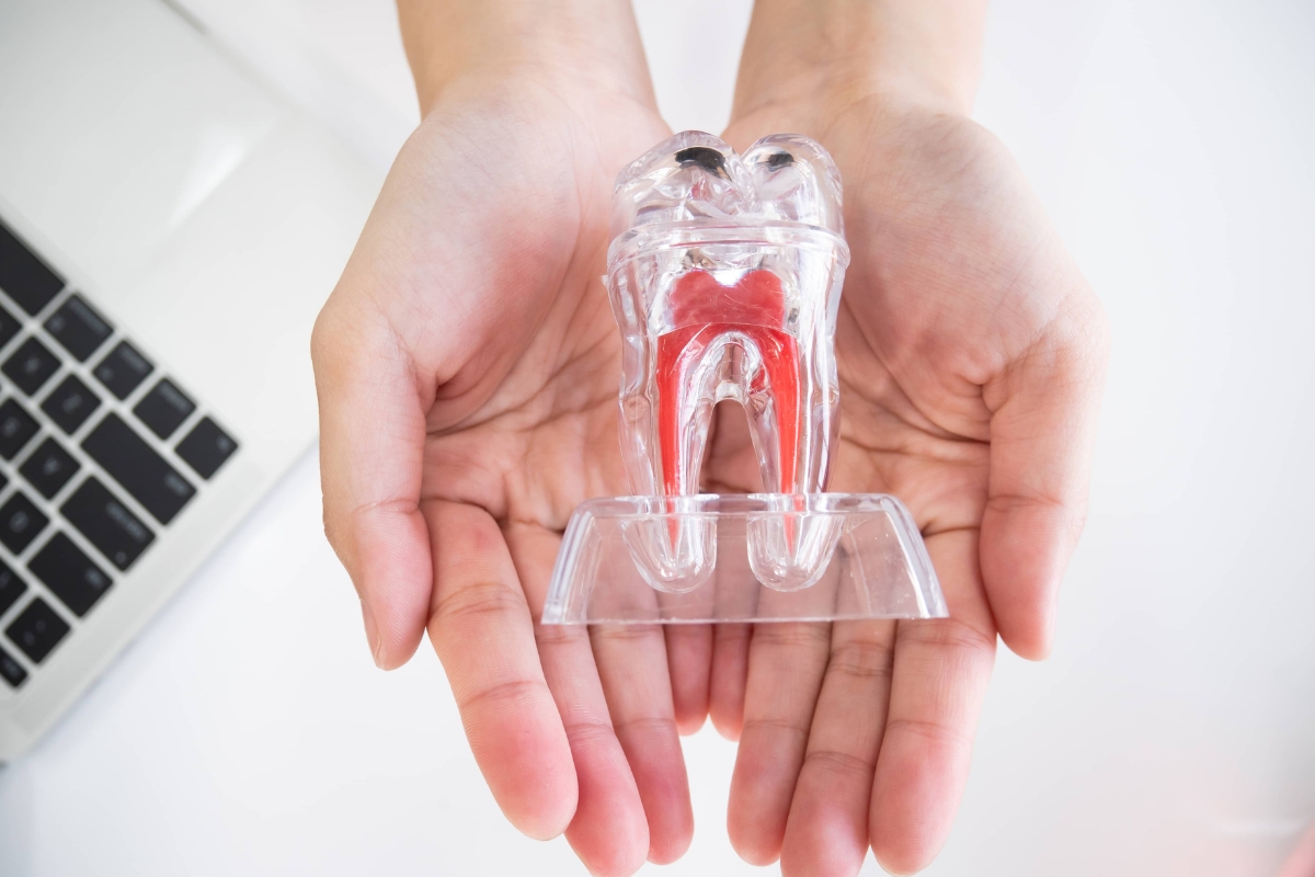Wurzelbehandlung (Endodontie) in Waldkraiburg – Zahnerhalt bei entzündetem Zahnnerv in der Zahnarztpraxis Helena Brodt